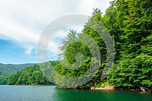 Beautiful vihorlat lake among the forest in summer