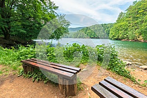 Beautiful vihorlat lake among the forest in summer