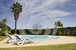 Bellissimo salutare giardino un piscina 