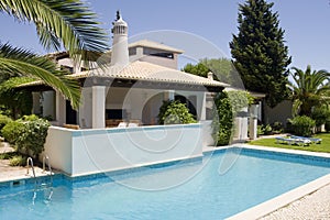 Beautiful villa with a healthy garden and a pool