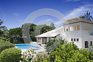 Bellissimo salutare giardino un piscina 