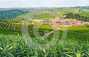The beautiful village of Barolo and its vineyards in the Langhe region of Piedmont, Italy.