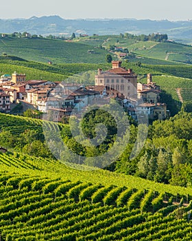 The beautiful village of Barolo and its vineyards in the Langhe region of Piedmont, Italy.