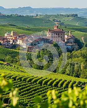 The beautiful village of Barolo and its vineyards in the Langhe region of Piedmont, Italy.