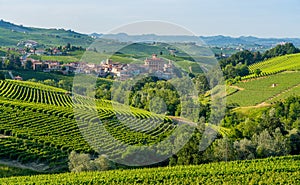 The beautiful village of Barolo and its vineyards in the Langhe region of Piedmont, Italy.