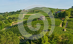 The beautiful village of Barolo and its vineyards in the Langhe region of Piedmont, Italy.