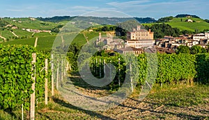 The beautiful village of Barolo and its vineyards in the Langhe region of Piedmont, Italy.