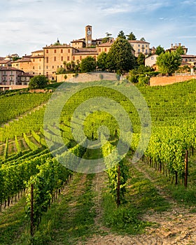 The beautiful village of Neive and its vineyards in the Langhe region of Piedmont, Italy.