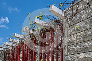 beautiful vine pergola between the stone walls