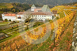 Beautiful vineyards at Abbey of Novacella, south tyrol, Bressanone, Italy. The Augustinian Canons Regular Monastery of Neustift.