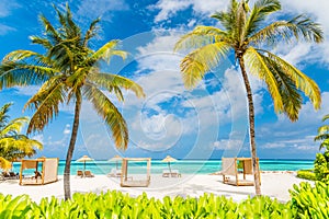 Beautiful vintage beach landscape. Tropical nature scene. Palm trees and blue sky. Summer holiday and vacation concept.