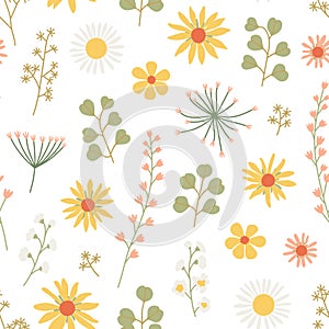 Beautiful vintage floral seamless pattern with wild flowers on white background. Wallpaper print