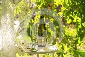 Beautiful vintage glass and bottle of white wine with white flowers on glass table in summer garden in sunlight.