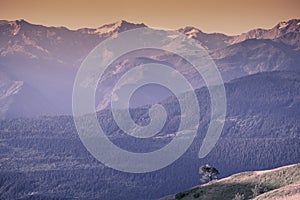 Beautiful vintage landscape with mountain