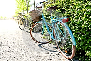 Beautiful vintage retro bike parked by a green bush.