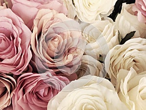 Beautiful vintage Rose background. white, pink, purple, violet, cream color bouquet flower. Elegant style floral.