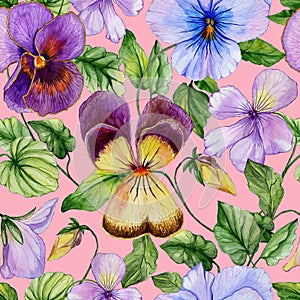 Beautiful viola flowers with green leaves on pink background. Seamless floral pattern. Vibrant colors. Watercolor painting.
