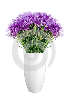 Beautiful violet flowers in vase isolated on white