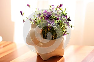 Beautiful violet flowers on white background. Bouquets of purple spring violet in glass vase near the window.