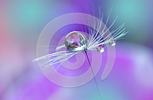 Beautiful Violet Nature Background.Art Photography.Floral Design.Colorful Abstract Macro.Water Drop.Relaxation.Flowers.Wallpaper.