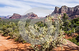 Beautiful Vistas of Sedona Arizona #8 photo