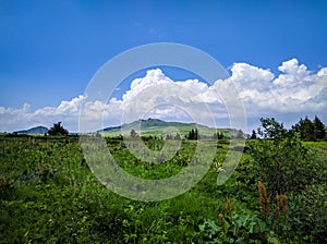 Beautiful Vitosha mountain, Bulgaria