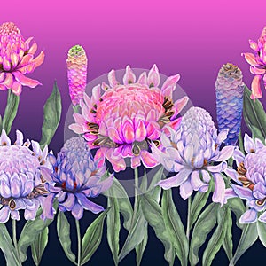 Beautiful vivid ginger flowers and on gradient purple background. Seamless floral pattern, border