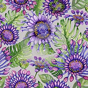 Beautiful vivid purple African daisy flowers with green monstera leaves on gray background. Seamless bright floral pattern.