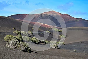Beautiful volcanic landscape at the Timanfaya National Park. Lanzarote, Spain