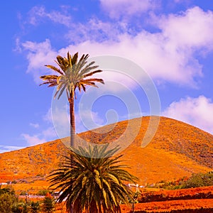 Beautiful volcanic landscape. Tropical location.Travel. Canary islands. Fuerteventura
