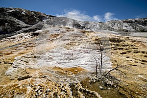 Beautiful volcanic Landscape in Yellowstone photo