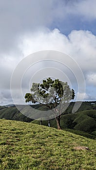 Beautiful Wagamon hills Idukki kerala India