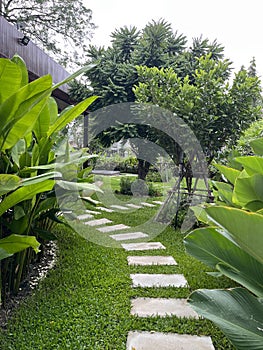 Beautiful walk path stone in the garden.