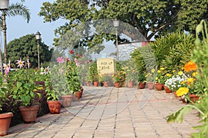 A beautiful walk way with flowers on both sides.