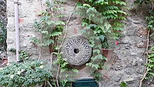 Beautiful wall with greenery in Tossa-de-mar. photo