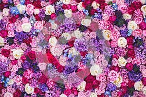 Beautiful wall made of red violet purple flowers, roses, tulips, press-wall, background