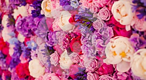 Beautiful wall made of red violet purple flowers, roses, tulips, press-wall, background