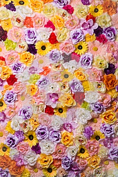 Beautiful wall made of red violet yellow flowers press-wall,