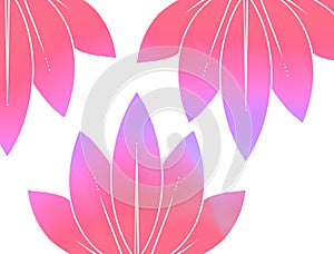 Beautiful wallpaper with pink lotus lines ornament on white background