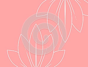 Beautiful wallpaper with white lotus lines ornament on white background