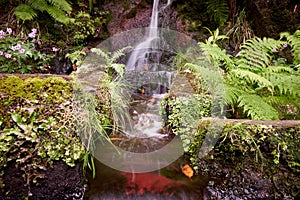 Beautiful water cascade at Levada das 25 Fontes trail, Madeira