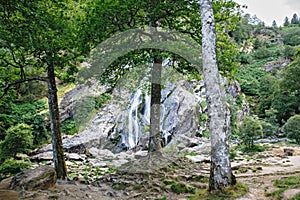 Beautiful water cascade of Powerscourt Waterfall, the highest waterfall in Ireland. Famous tourist atractions in co