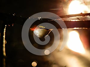 Beautiful water drop on twig shot against sunset