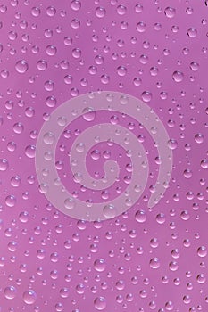 Beautiful water drops of the correct form on a pink background