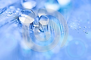 Beautiful water drops on the feather. Macro. Beautiful soft light blue and violet background. Selective focus