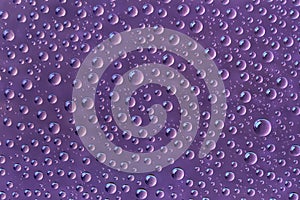 Beautiful water drops on a purple background