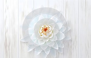 beautiful water lilly lotus flower on white wooden table
