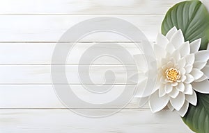 beautiful water lilly lotus flower on white wooden table