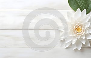 beautiful water lilly lotus flower on white wooden table