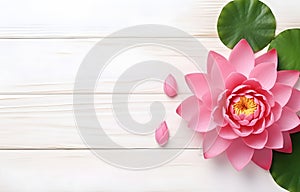 beautiful water lilly lotus flower on white wooden table